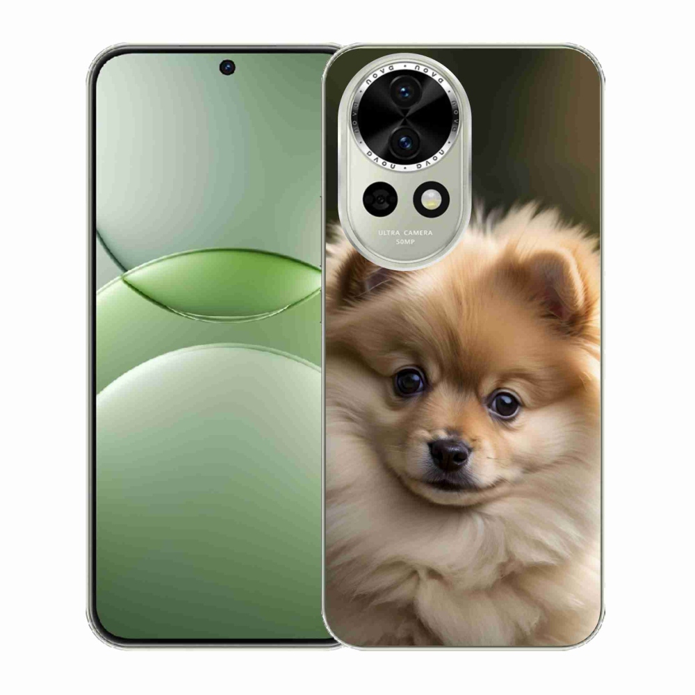 Gelový kryt mmCase na Huawei Nova 13 5G - roztomilý pomeranian 2