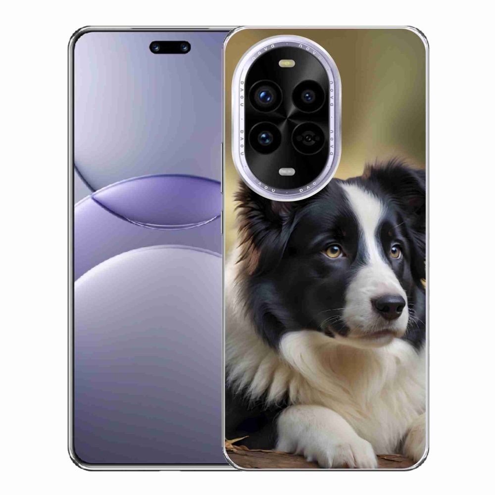 Gelový kryt mmCase na Huawei Nova 13 Pro 5G - border kolie 2