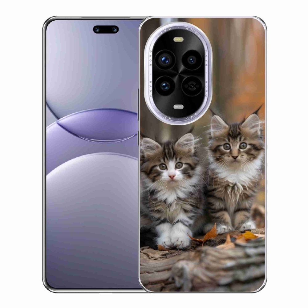 Gelový kryt mmCase na Huawei Nova 13 Pro 5G - kočičí duo 3