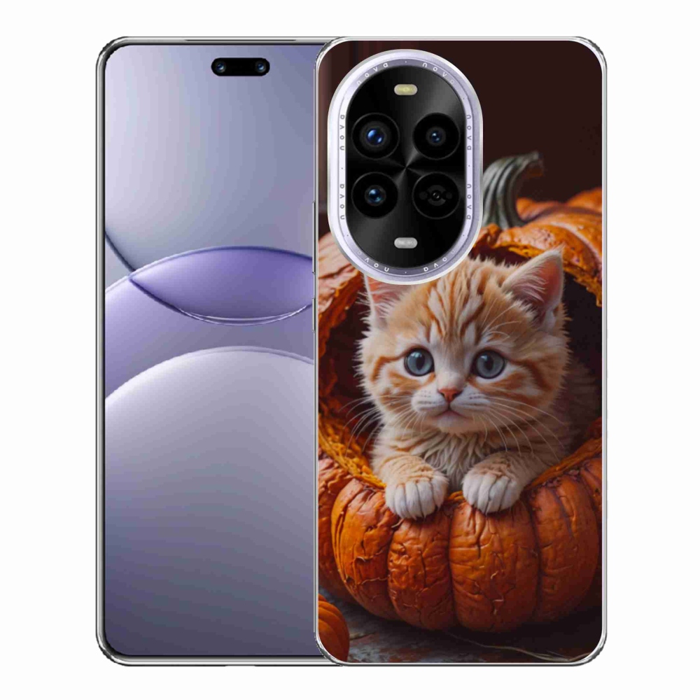 Gelový kryt mmCase na Huawei Nova 13 Pro 5G - kotě a dýně 2