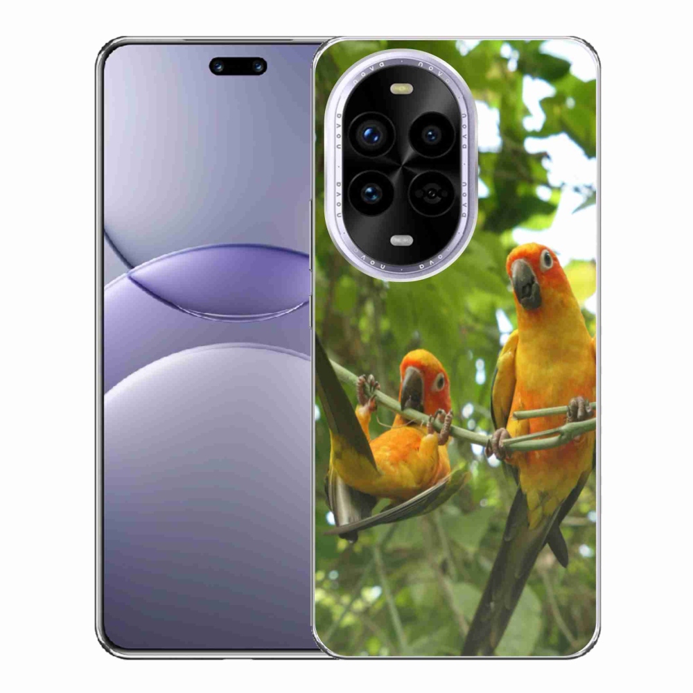 Gelový kryt mmCase na Huawei Nova 13 Pro 5G - papoušci aratingy