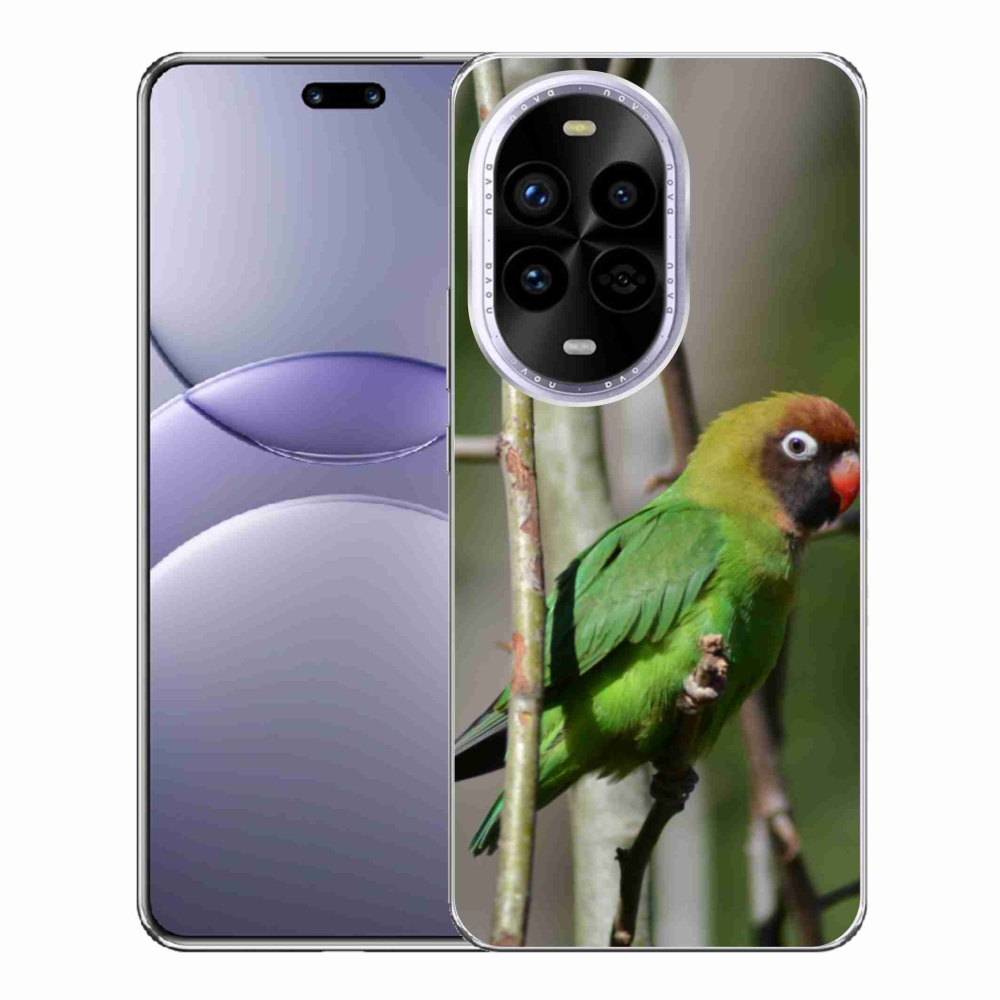 Gelový kryt mmCase na Huawei Nova 13 Pro 5G - papoušek agapornis