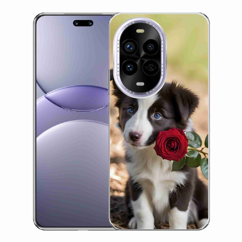 Gelový kryt mmCase na Huawei Nova 13 Pro 5G - roztomilá border kolie s růží