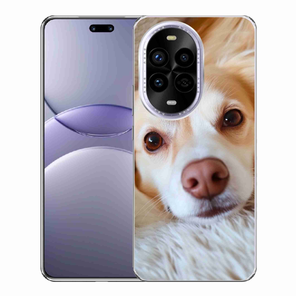 Gelový kryt mmCase na Huawei Nova 13 Pro 5G - Roztomilá čivava