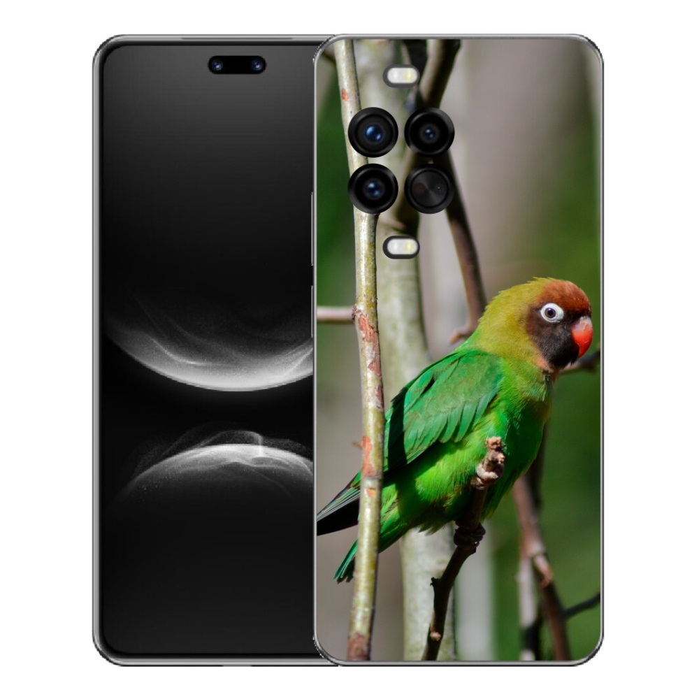Gelový kryt mmCase na Huawei Nova 14 Pro - papoušek agapornis
