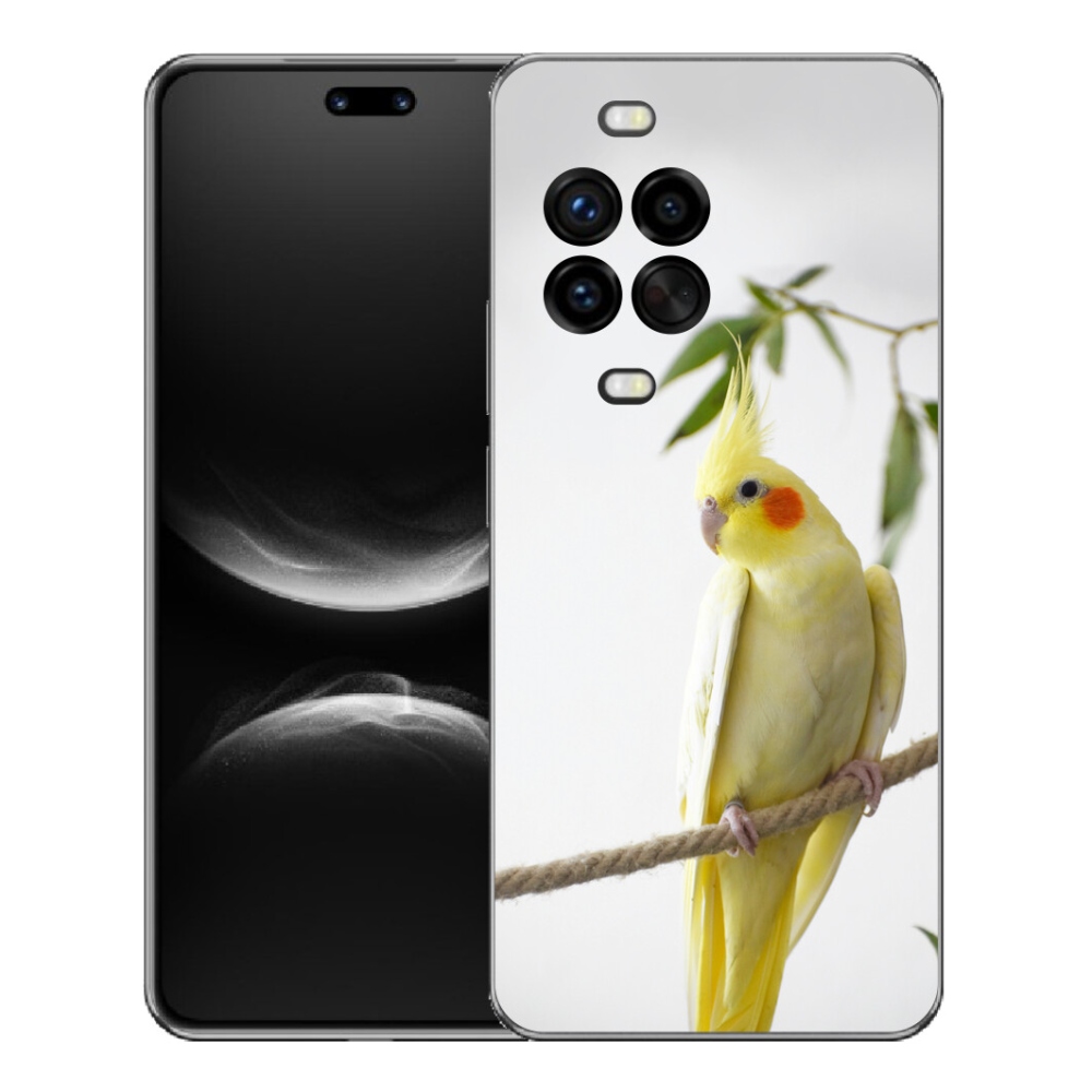 Gelový kryt mmCase na Huawei Nova 14 Pro - papoušek korela chocholatá