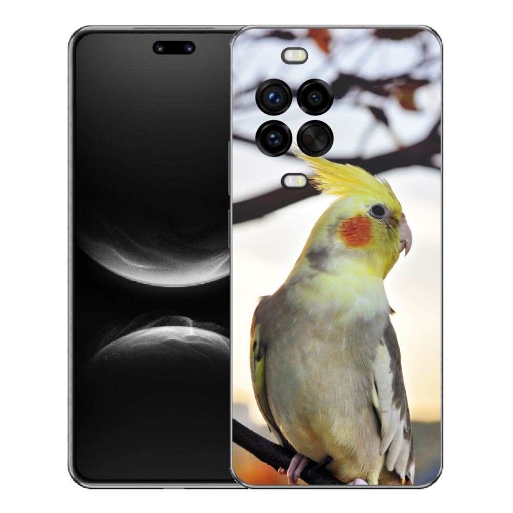 Gelový kryt mmCase na Huawei Nova 14 Pro - papoušek korela