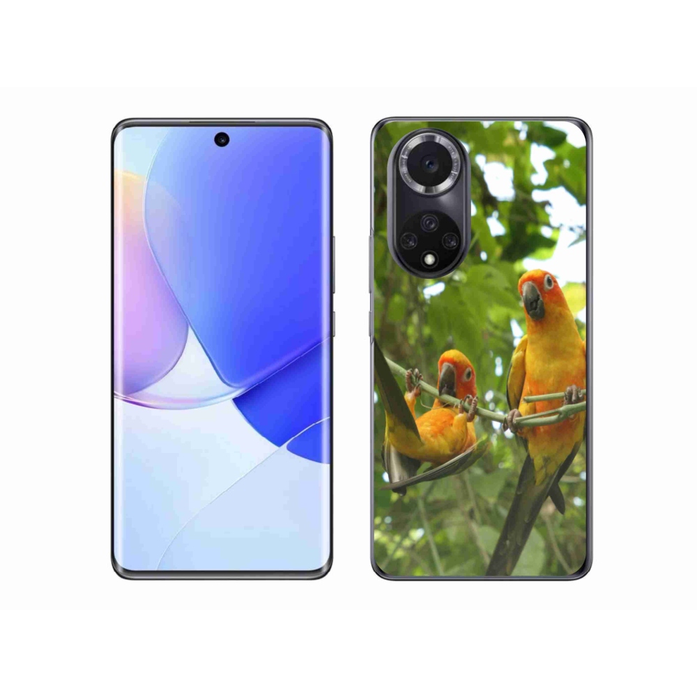 Gelový kryt mmCase na Huawei Nova 9 - papoušci aratingy