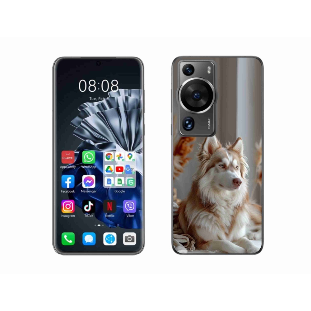 Gelový kryt mmCase na Huawei P60 Pro - klidný sibiřský husky