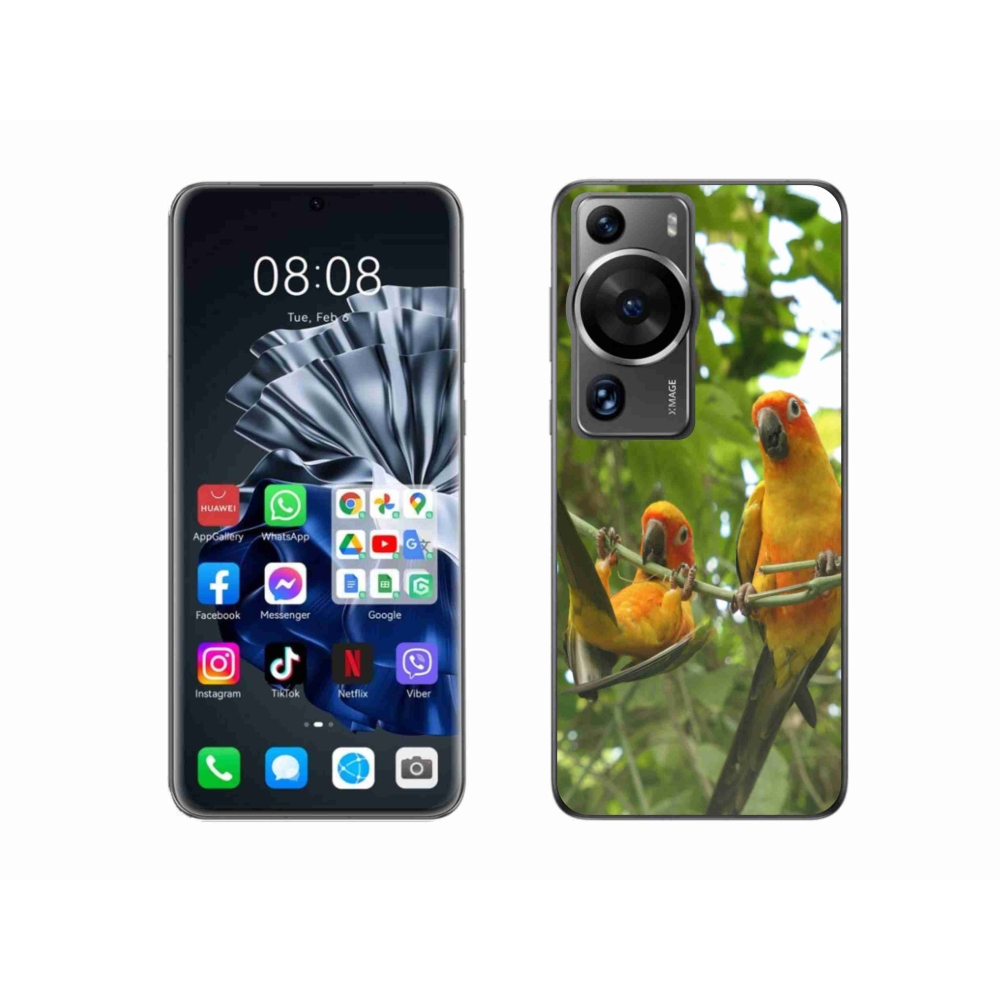 Gelový kryt mmCase na Huawei P60 Pro - papoušci aratingy