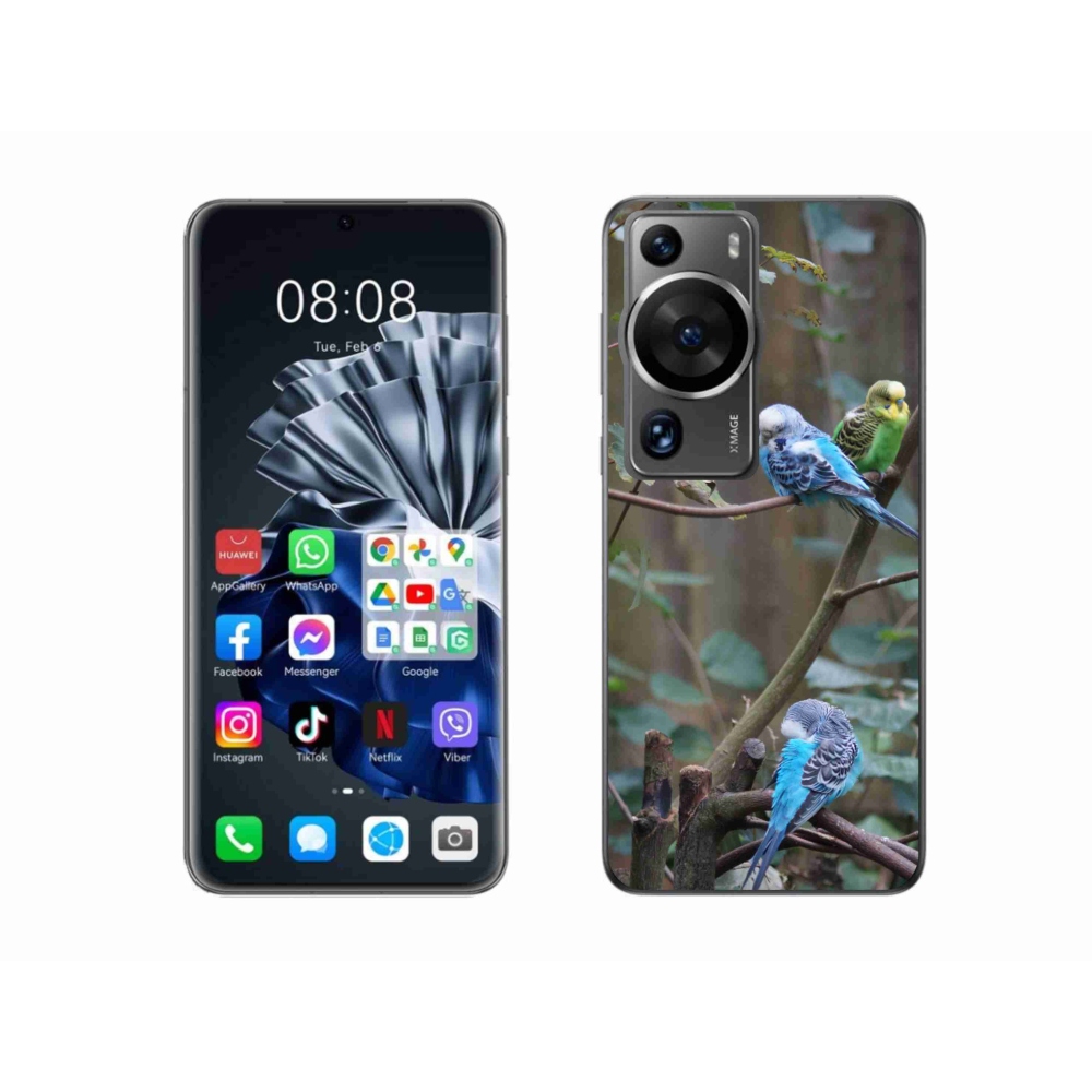 Gelový kryt mmCase na Huawei P60 Pro - papoušci na větvi
