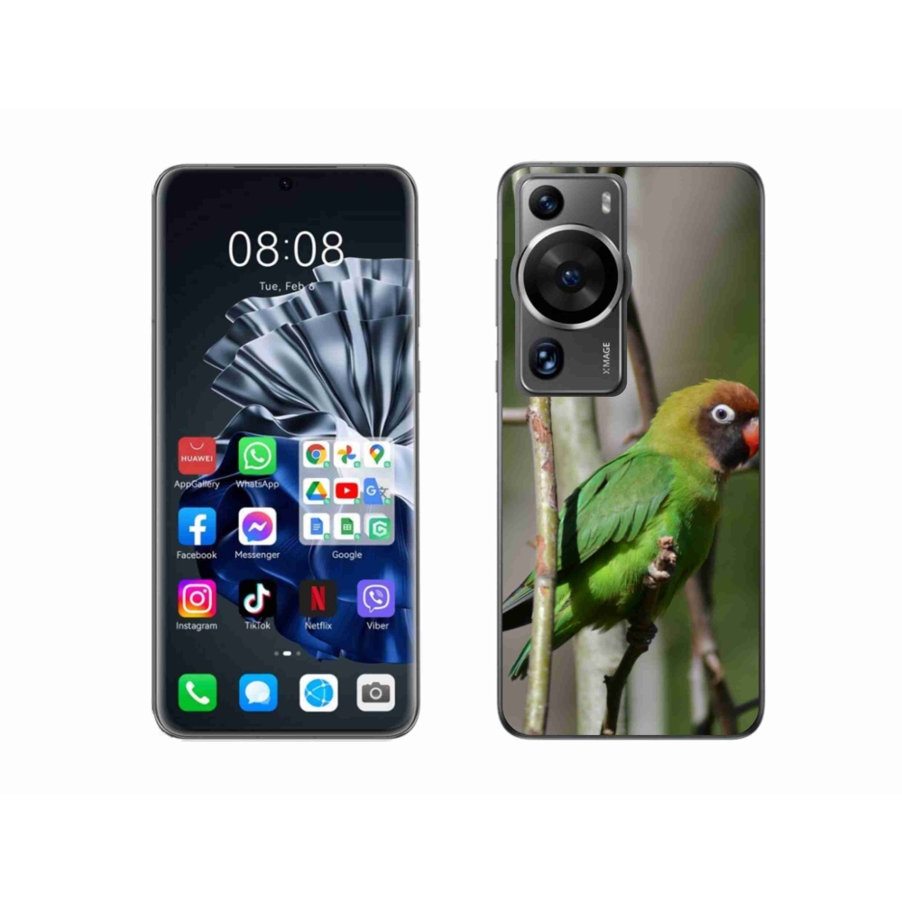 Gelový kryt mmCase na Huawei P60 Pro - papoušek agapornis