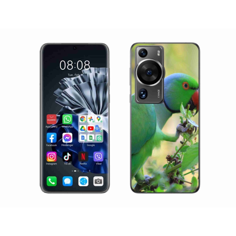 Gelový kryt mmCase na Huawei P60 Pro - papoušek alexandr