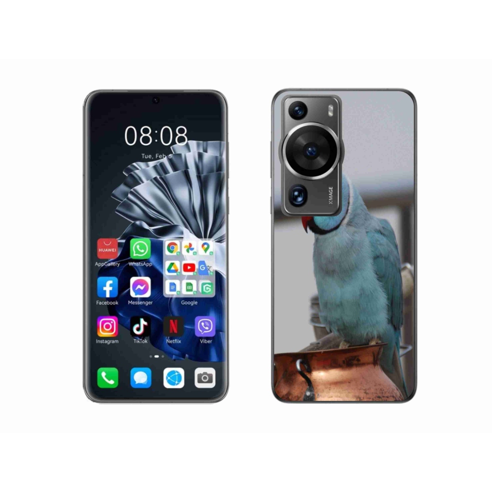 Gelový kryt mmCase na Huawei P60 Pro - papoušek alexandr modrý