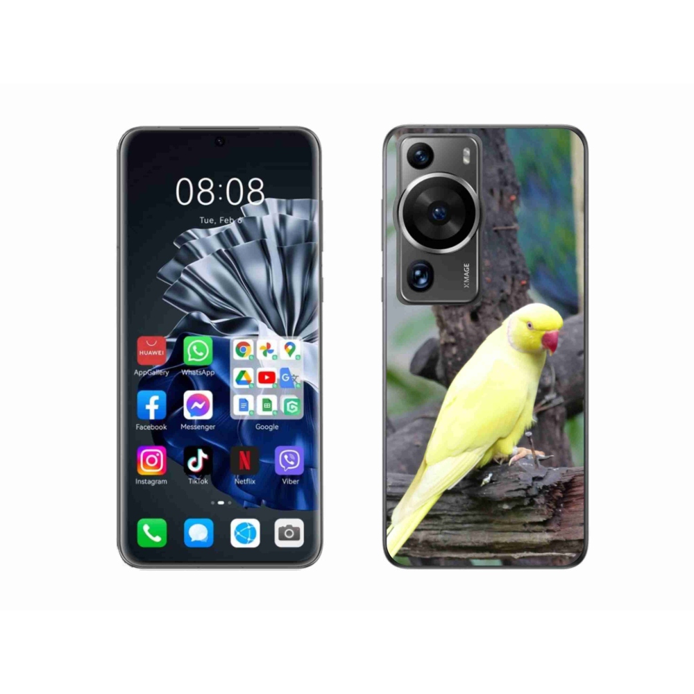 Gelový kryt mmCase na Huawei P60 Pro - papoušek alexandr žlutý