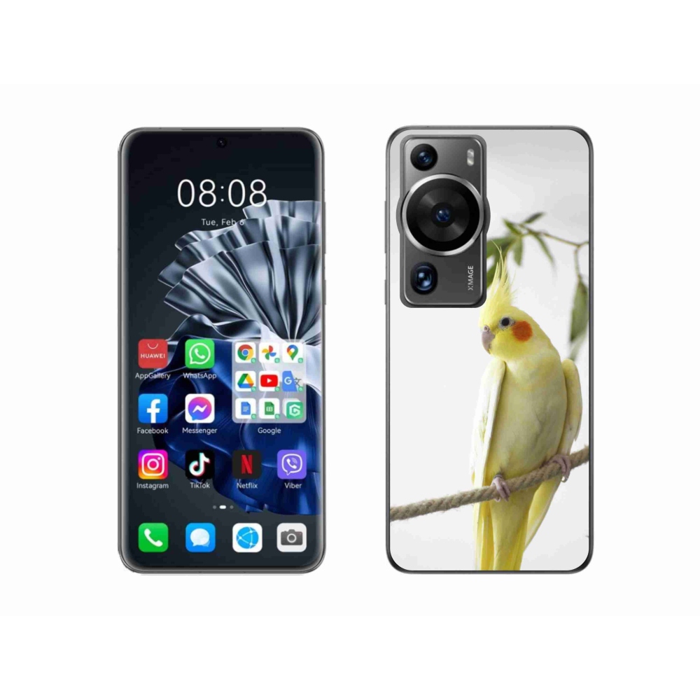 Gelový kryt mmCase na Huawei P60 Pro - papoušek korela chocholatá