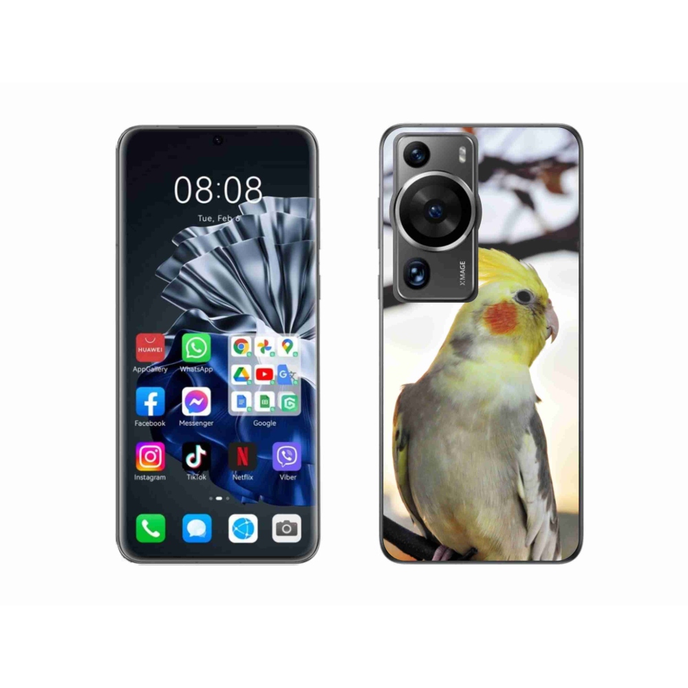 Gelový kryt mmCase na Huawei P60 Pro - papoušek korela