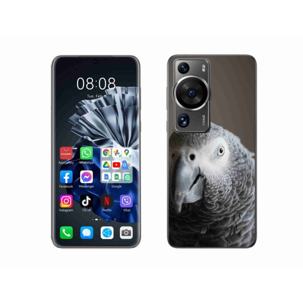 Gelový kryt mmCase na Huawei P60 Pro - papoušek žako 2