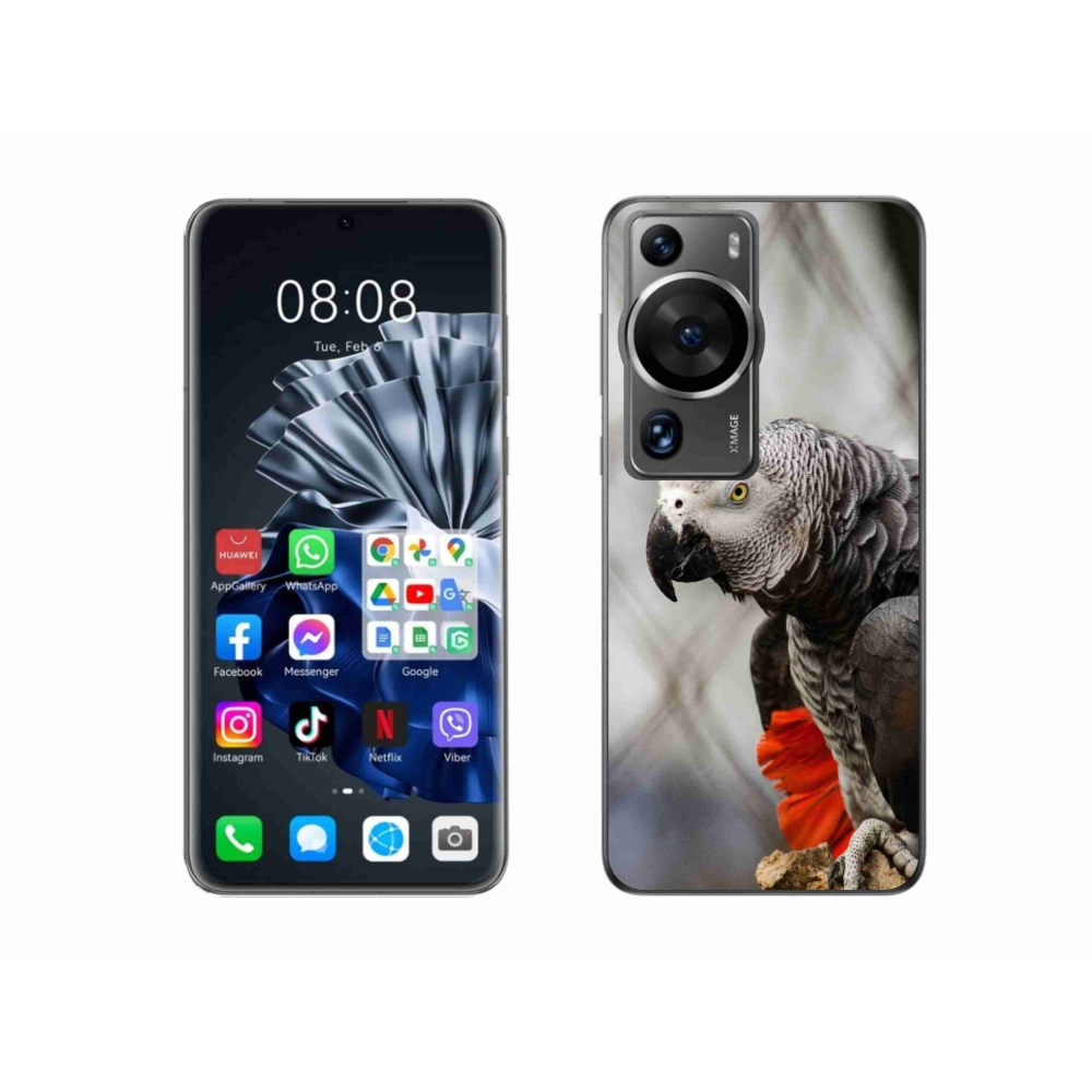 Gelový kryt mmCase na Huawei P60 Pro - papoušek žako 3