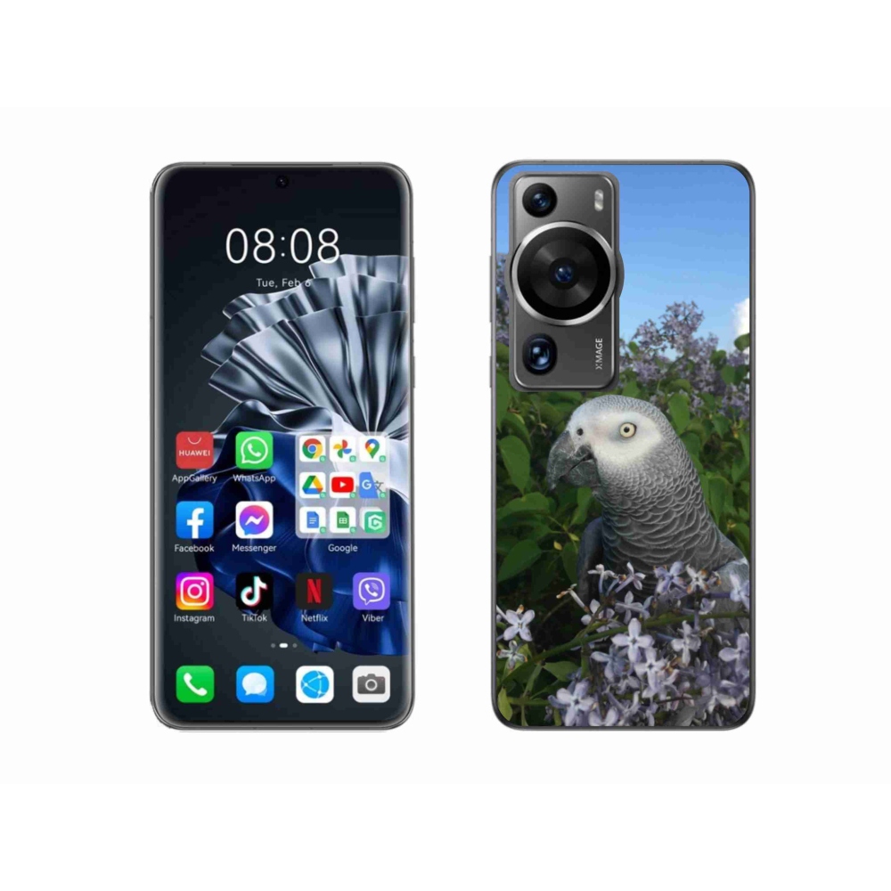 Gelový kryt mmCase na Huawei P60 Pro - papoušek žako