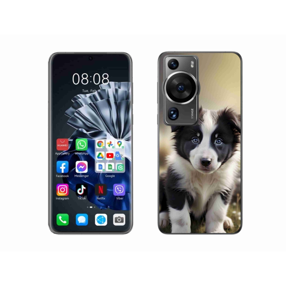 Gelový kryt mmCase na Huawei P60 Pro - roztomilá border kolie