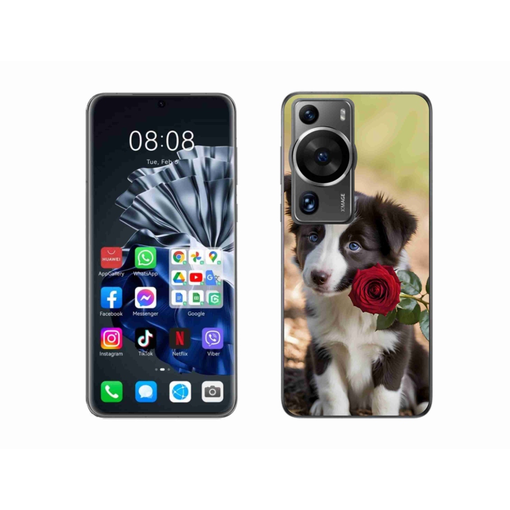 Gelový kryt mmCase na Huawei P60 Pro - roztomilá border kolie s růží