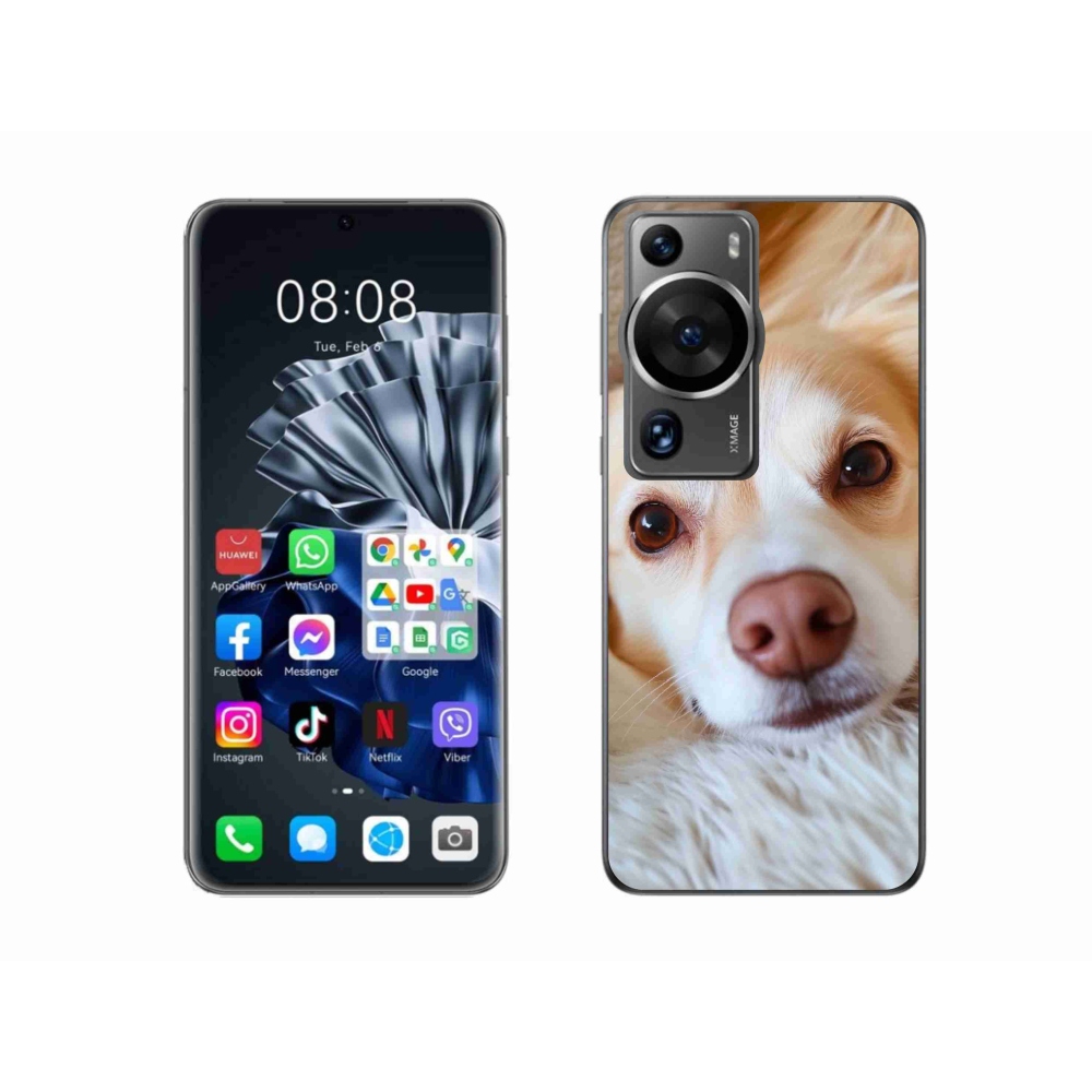 Gelový kryt mmCase na Huawei P60 Pro - Roztomilá čivava