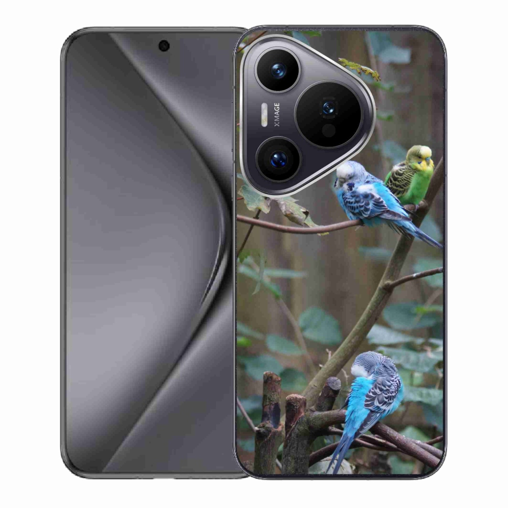 Gelový kryt mmCase na Huawei Pura 70 - papoušci na větvi