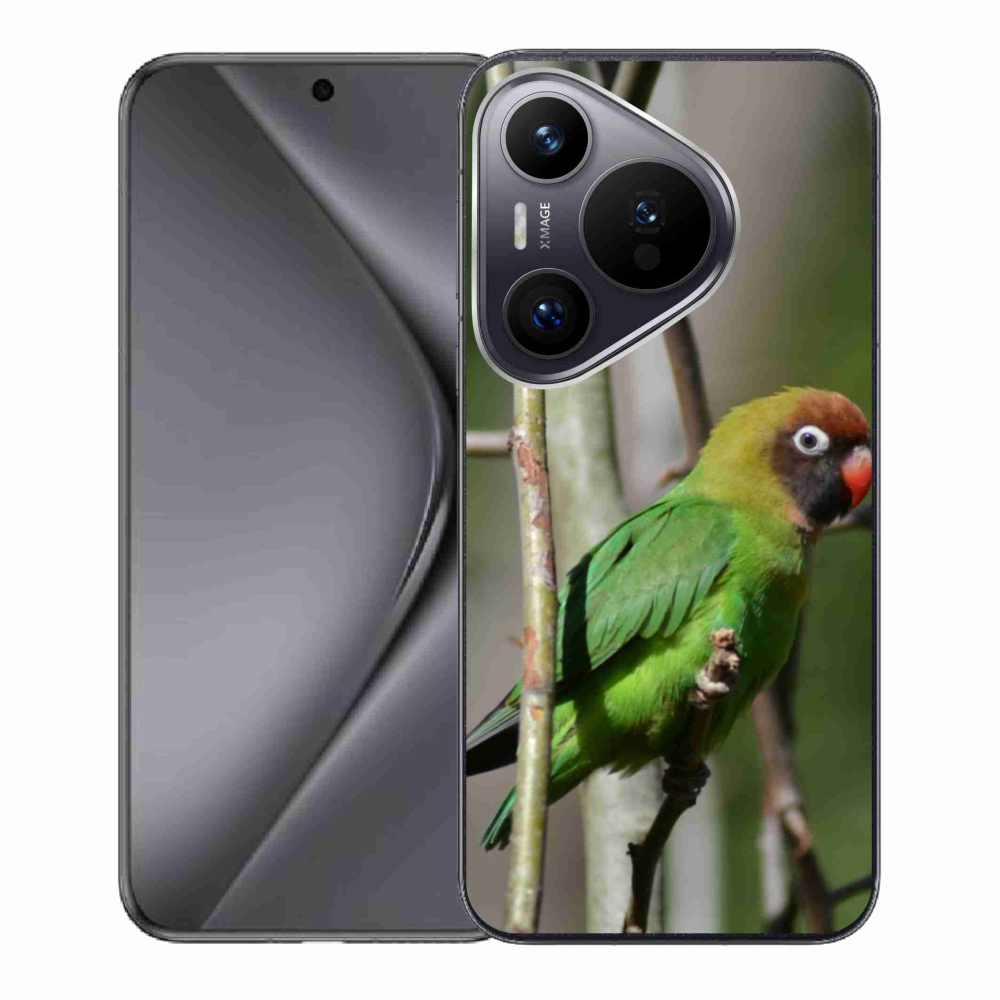 Gelový kryt mmCase na Huawei Pura 70 - papoušek agapornis