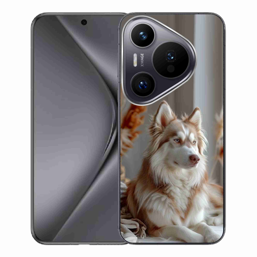 Gelový kryt mmCase na Huawei Pura 70 Pro - klidný sibiřský husky