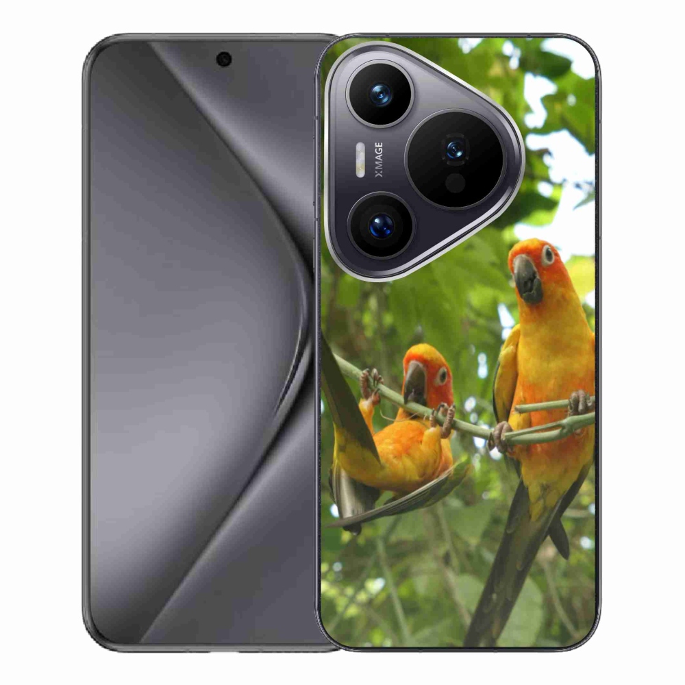 Gelový kryt mmCase na Huawei Pura 70 Pro - papoušci aratingy