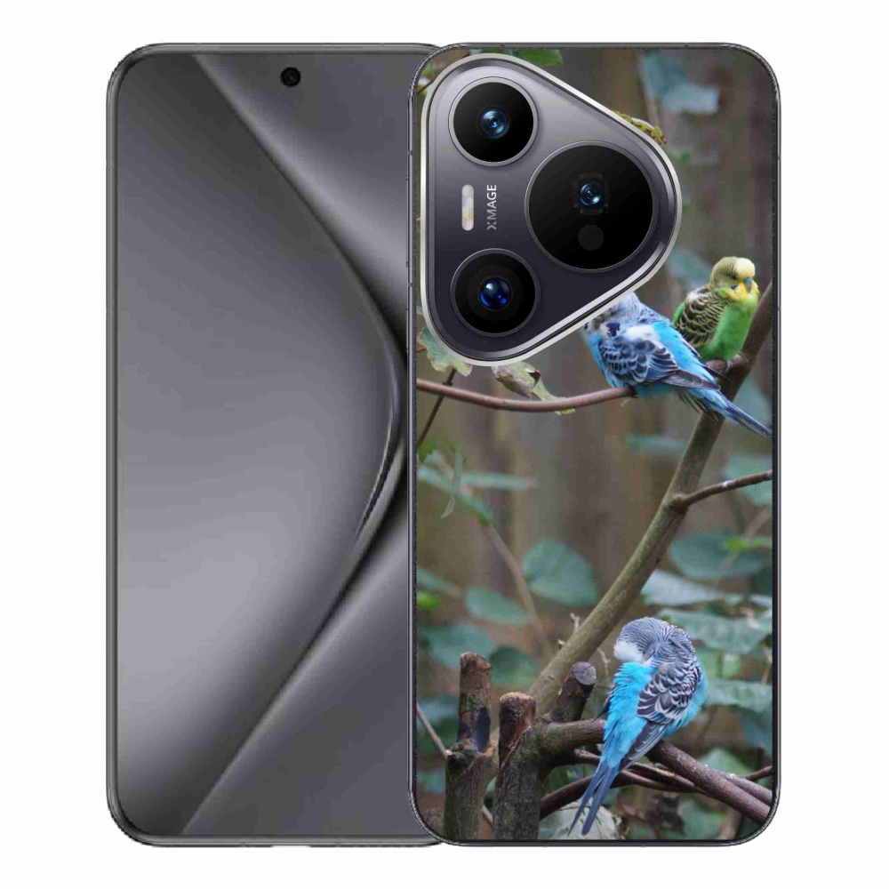 Gelový kryt mmCase na Huawei Pura 70 Pro - papoušci na větvi
