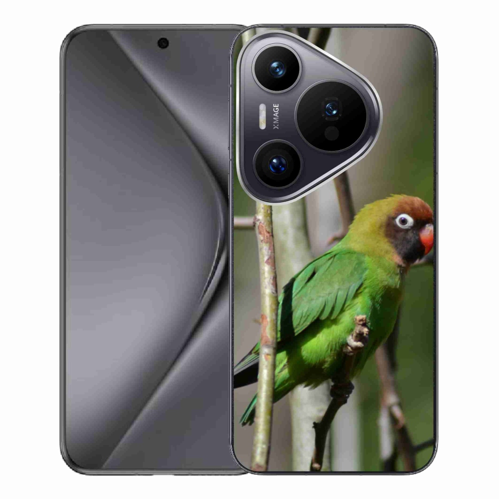 Gelový kryt mmCase na Huawei Pura 70 Pro - papoušek agapornis