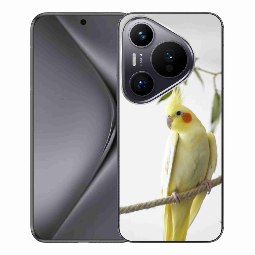 Gelový kryt mmCase na Huawei Pura 70 Pro - papoušek korela chocholatá