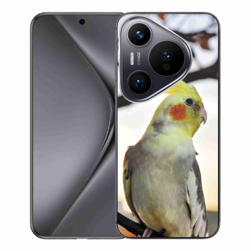 Gelový kryt mmCase na Huawei Pura 70 Pro - papoušek korela