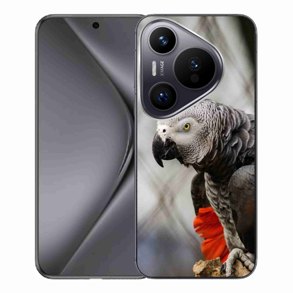 Gelový kryt mmCase na Huawei Pura 70 Pro - papoušek žako 3