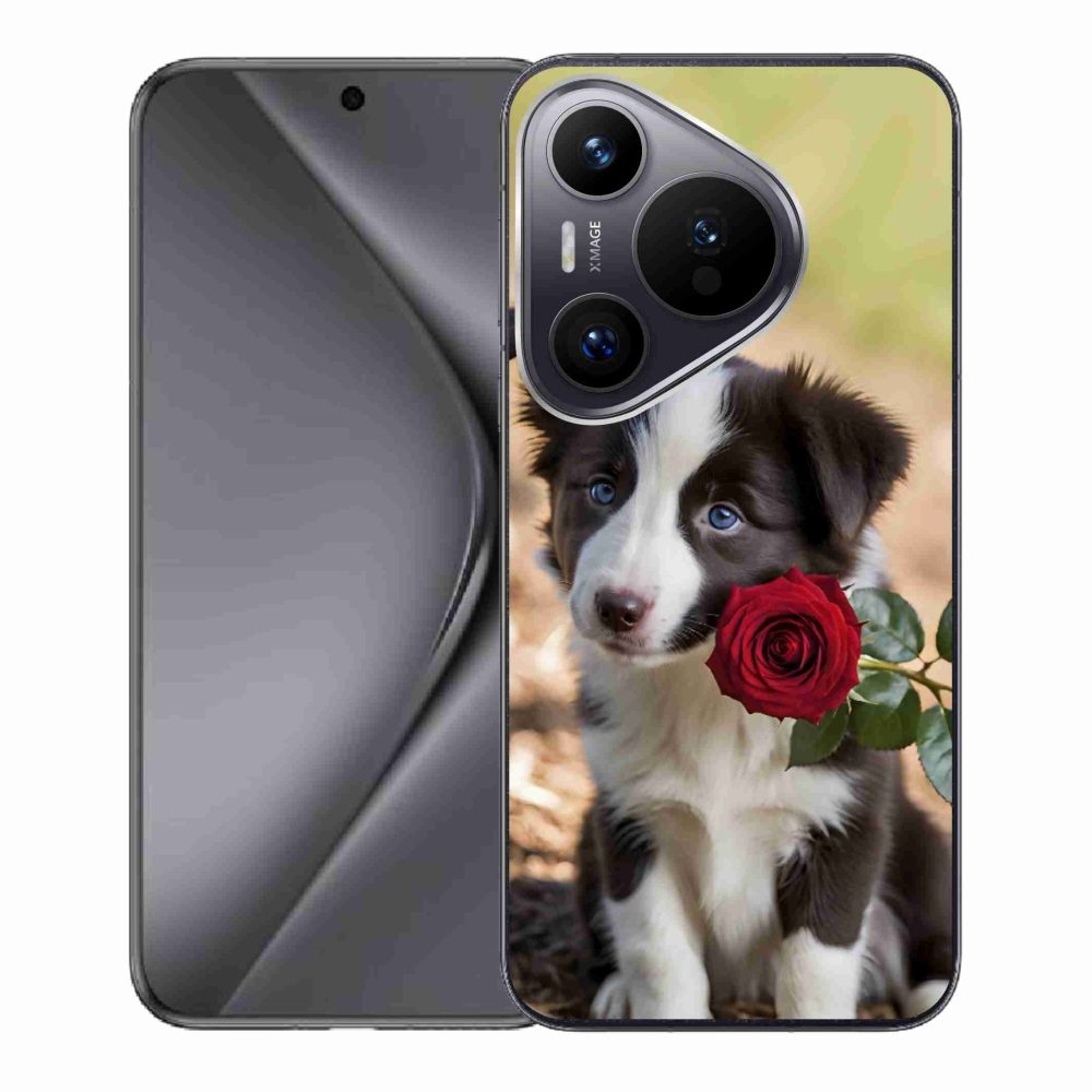 Gelový kryt mmCase na Huawei Pura 70 - roztomilá border kolie s růží