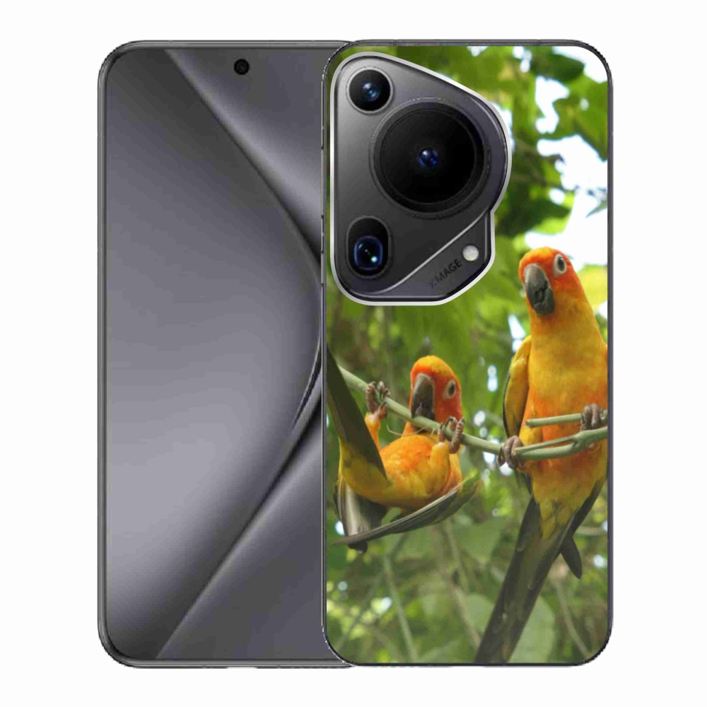 Gelový kryt mmCase na Huawei Pura 70 Ultra - papoušci aratingy
