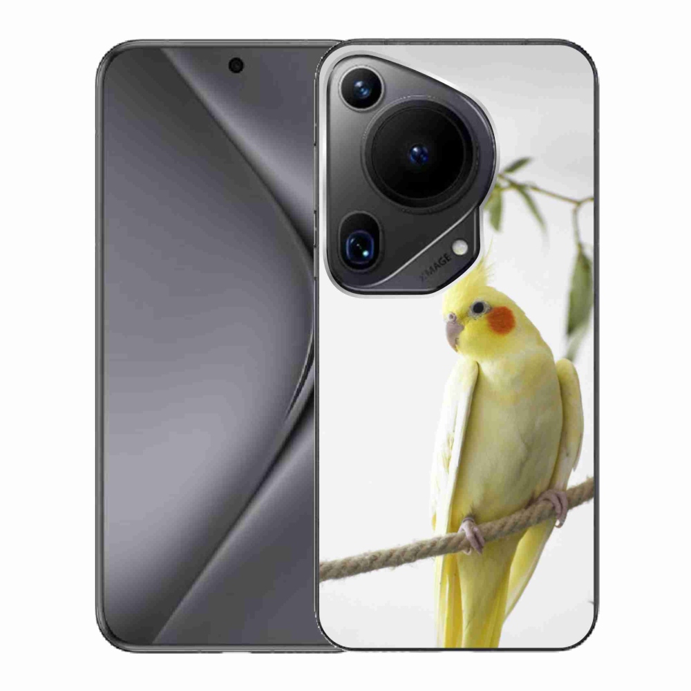 Gelový kryt mmCase na Huawei Pura 70 Ultra - papoušek korela chocholatá