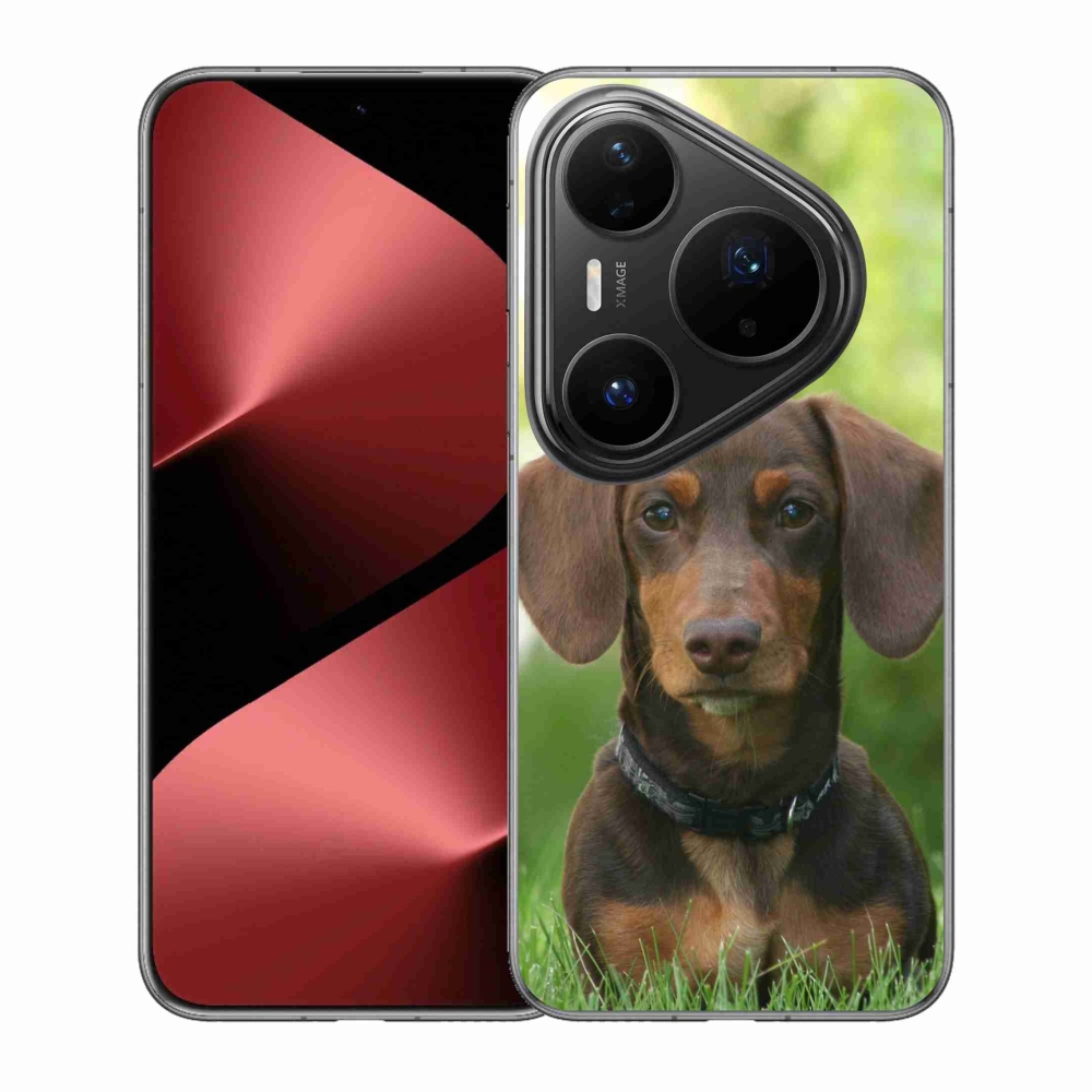 Gelový kryt mmCase na Huawei Pura 80 Pro - hnědý jezevčík