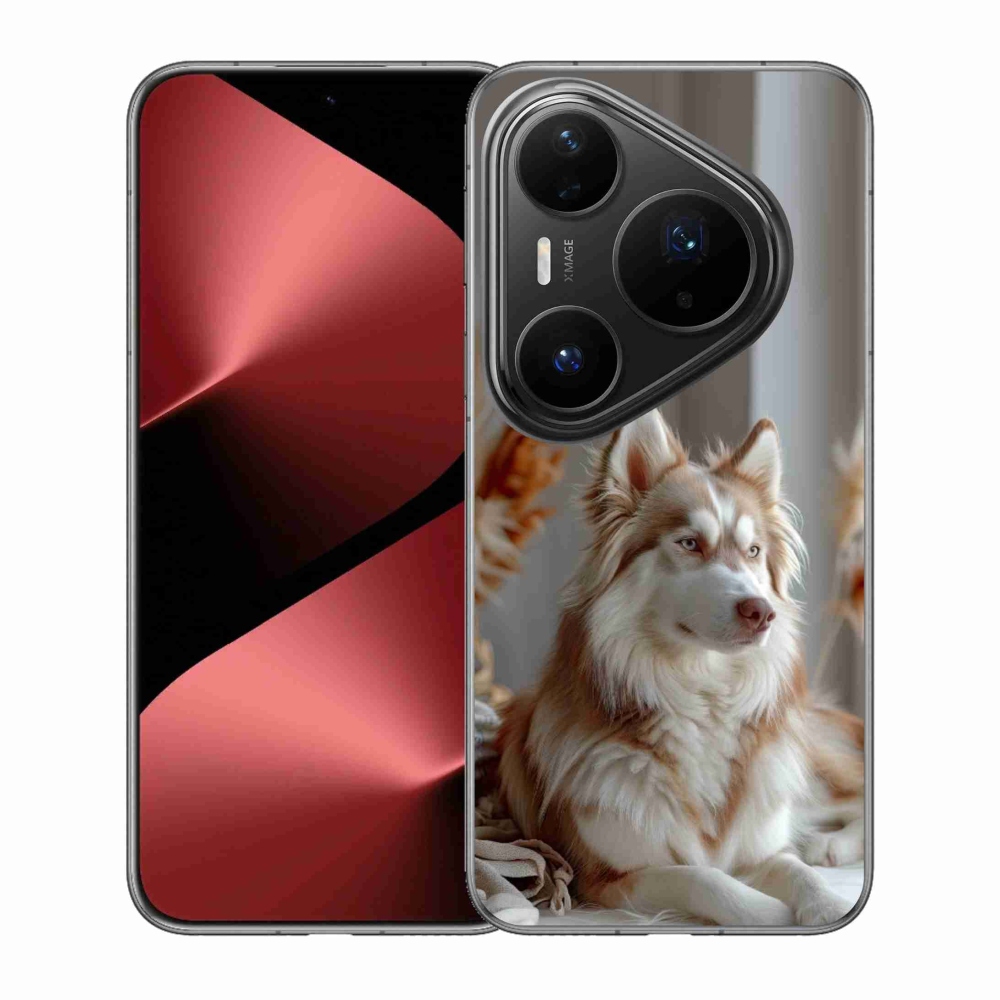 Gelový kryt mmCase na Huawei Pura 80 Pro - klidný sibiřský husky