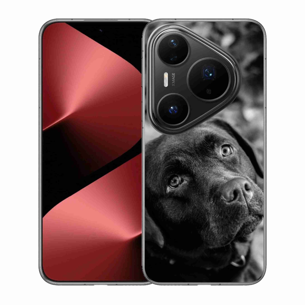 Gelový kryt mmCase na Huawei Pura 80 Pro - labrador