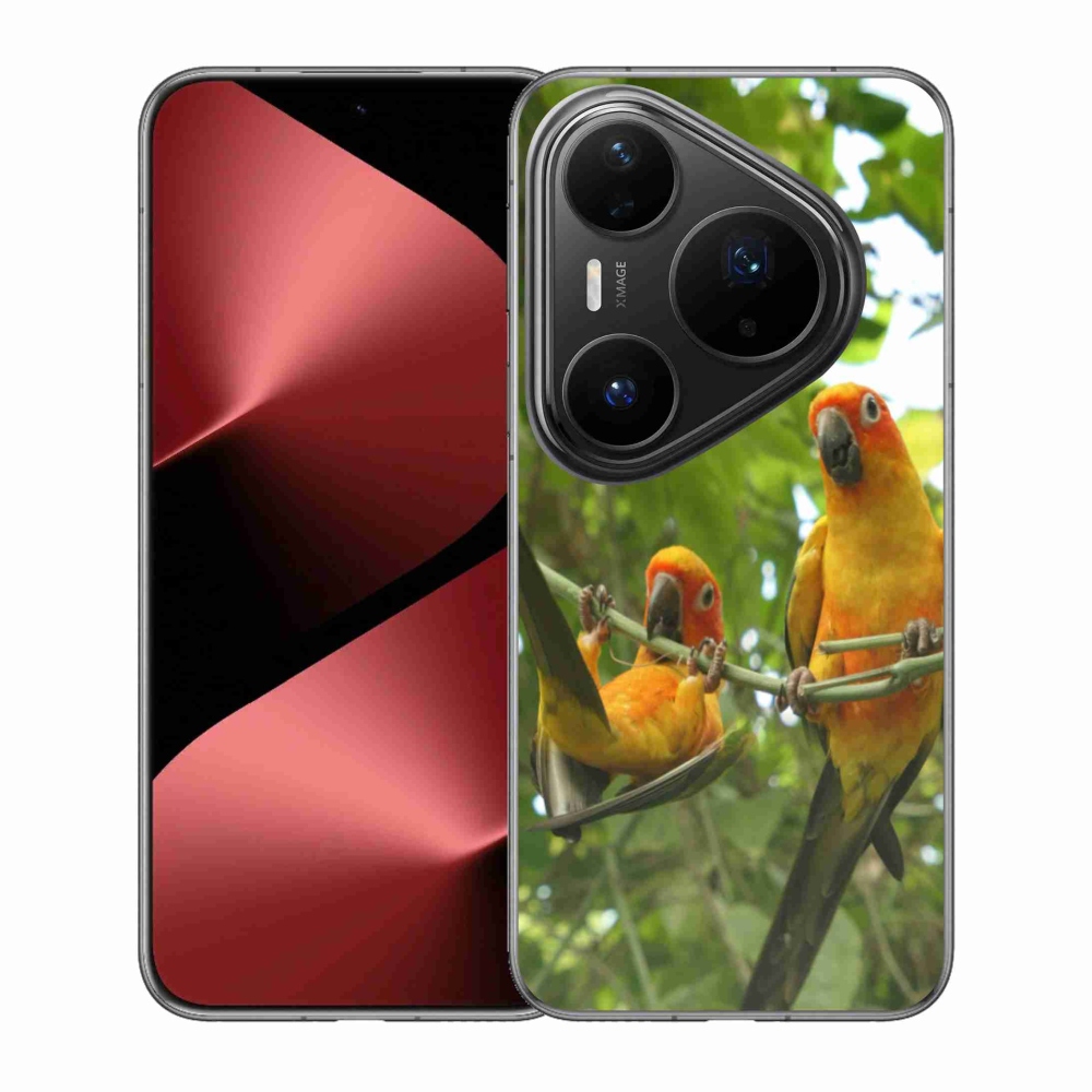 Gelový kryt mmCase na Huawei Pura 80 Pro - papoušci aratingy