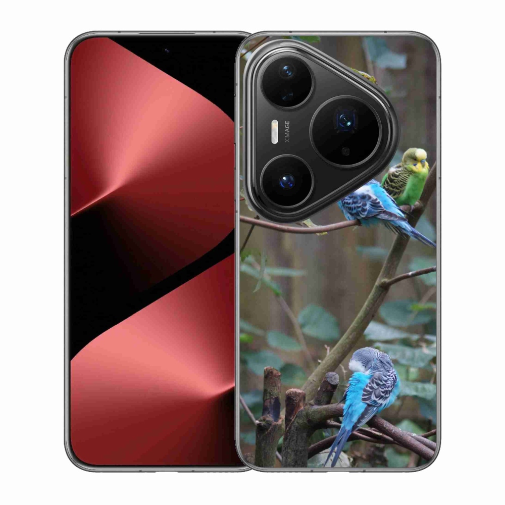 Gelový kryt mmCase na Huawei Pura 80 Pro - papoušci na větvi