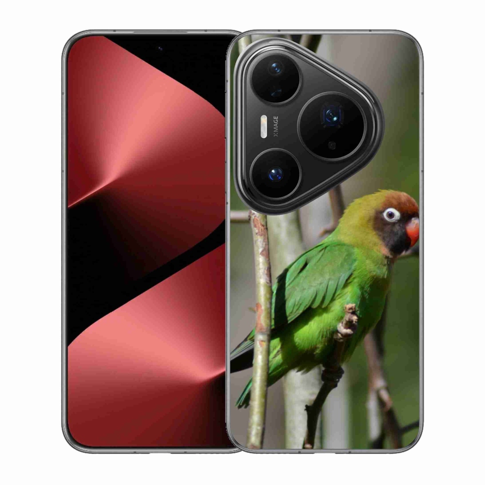Gelový kryt mmCase na Huawei Pura 80 Pro - papoušek agapornis
