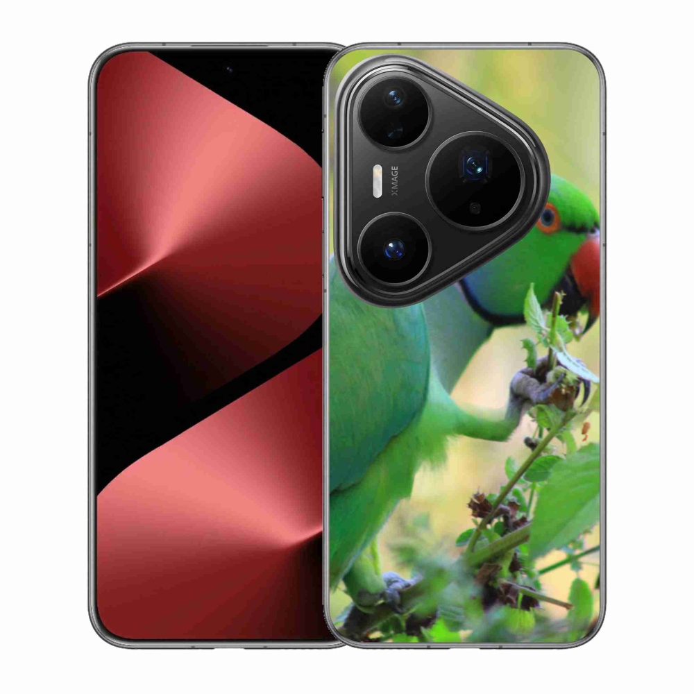 Gelový kryt mmCase na Huawei Pura 80 Pro - papoušek alexandr