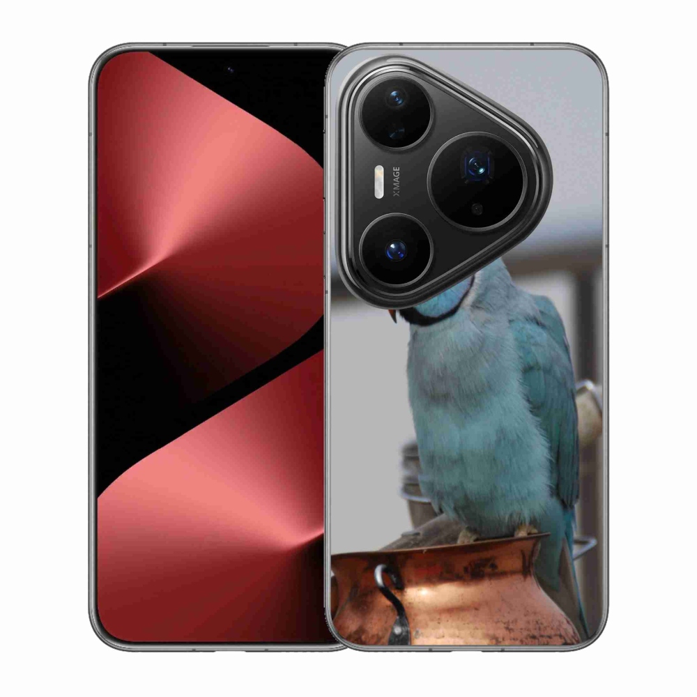Gelový kryt mmCase na Huawei Pura 80 Pro - papoušek alexandr modrý