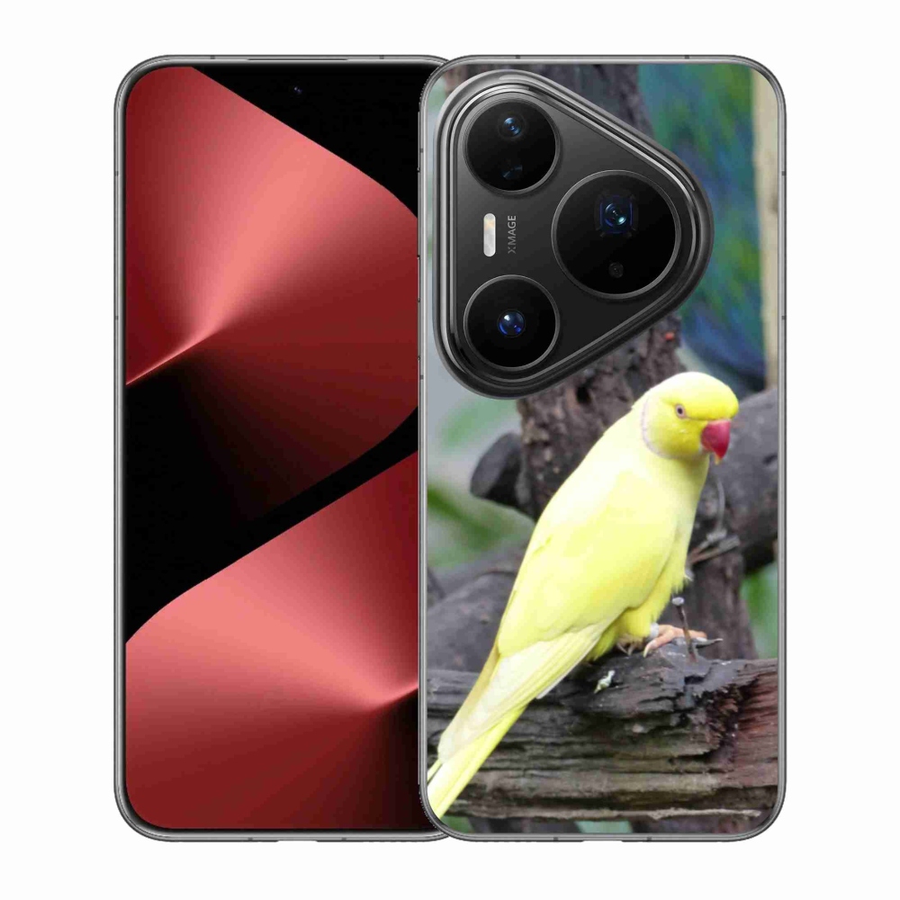 Gelový kryt mmCase na Huawei Pura 80 Pro - papoušek alexandr žlutý