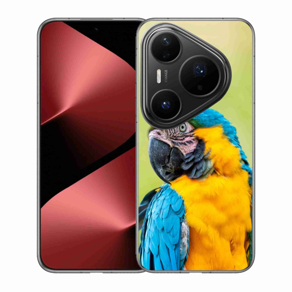 Gelový kryt mmCase na Huawei Pura 80 Pro - papoušek ara 2