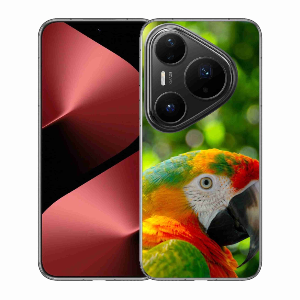 Gelový kryt mmCase na Huawei Pura 80 Pro - papoušek ara 3